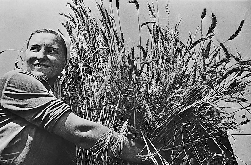 Woman collective farmer with newly harvested wheat in Krasnodar, Russia in the 1930s