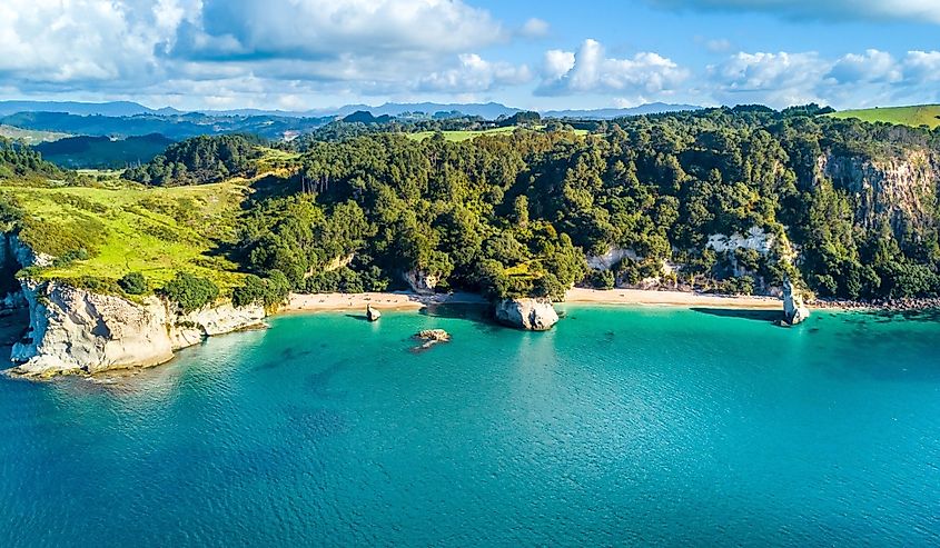 Overlooking Coromandel, New Zealand.