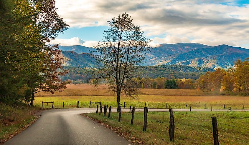 Vibrant autumn landscape taken in Cades Cove valley in the Great Smoky Mountain National Park in Tennessee.