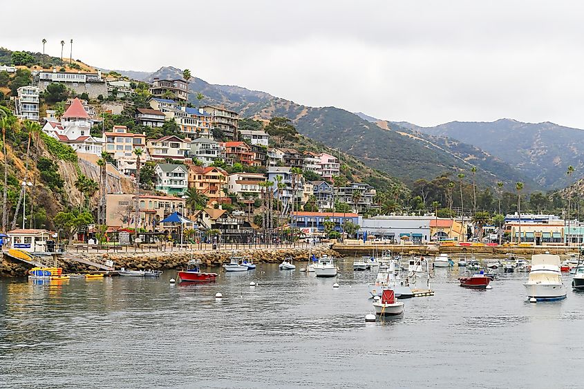 The crescent harbor and hillside buildings of Avalon on Catalina Island