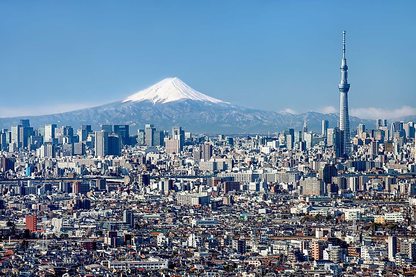 Tokyo Skyline with Mount Fuji and Skytree