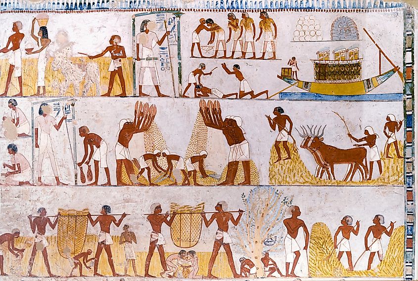 Agricultural scenes from the tomb of Menna at valley of the Noble