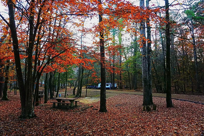 Roosevelt State Park, Mississippi