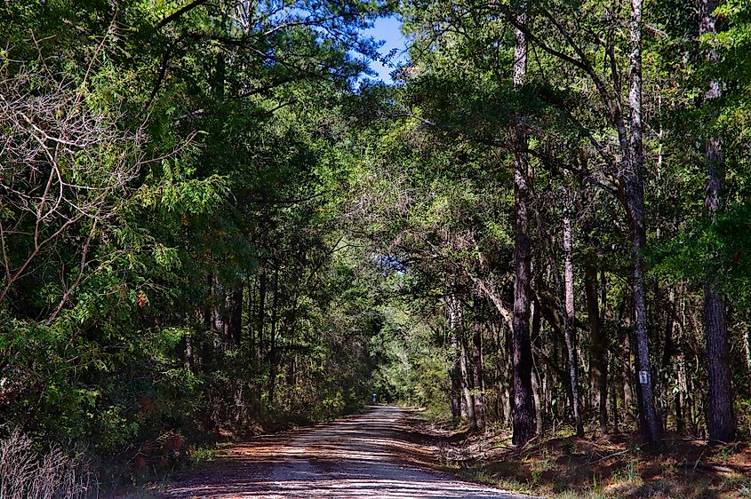 Talquin Lake State Park