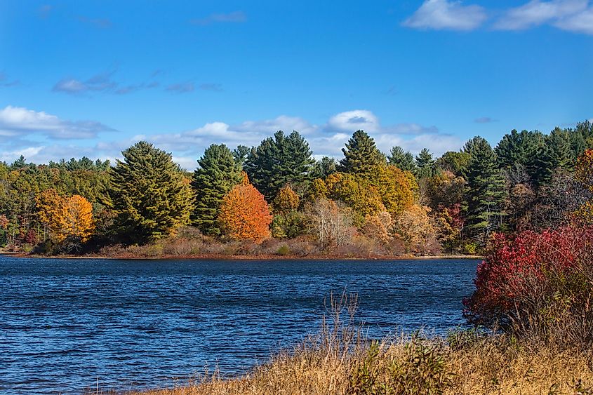 Bright fall foliage along shoreline of lake, Mansfield Hollow, Connecticut.