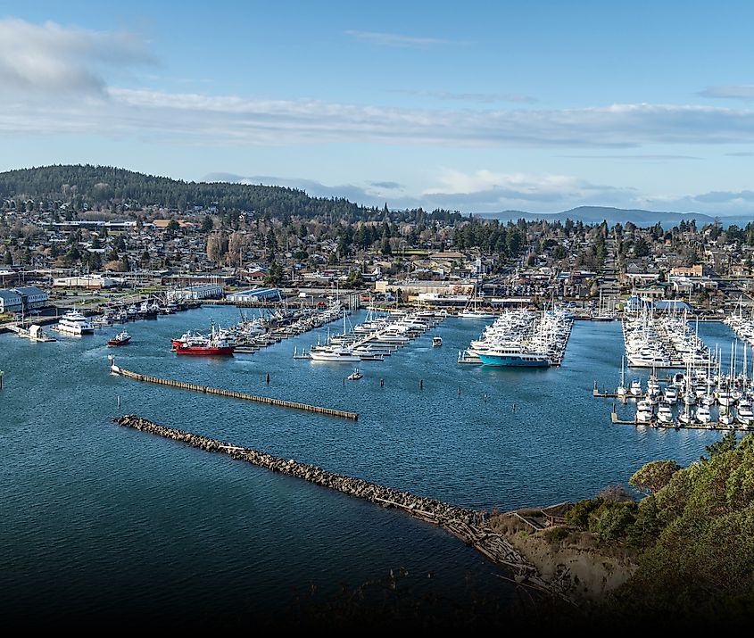 The docked boats at the marine with the coastal residential area in Anacortes, Washington