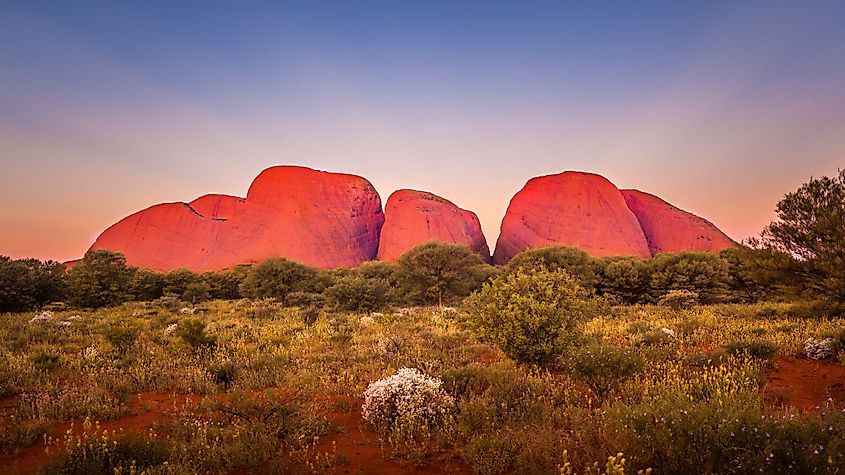 Kata Tjuta in the Uluru-Kata Tjuta National Park, Australia