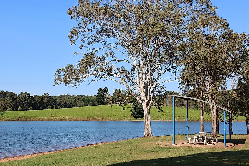 Eucalyptus gum tree and covered picnic table at Lake Tinaroo in Yungaburra, Queensland.