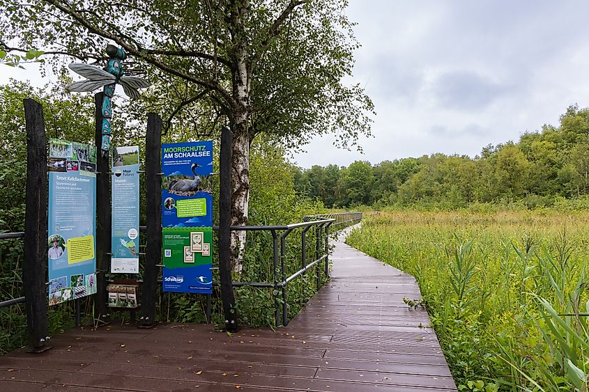 A marsh walk area in Zarrentin am Schaalsee, Germany