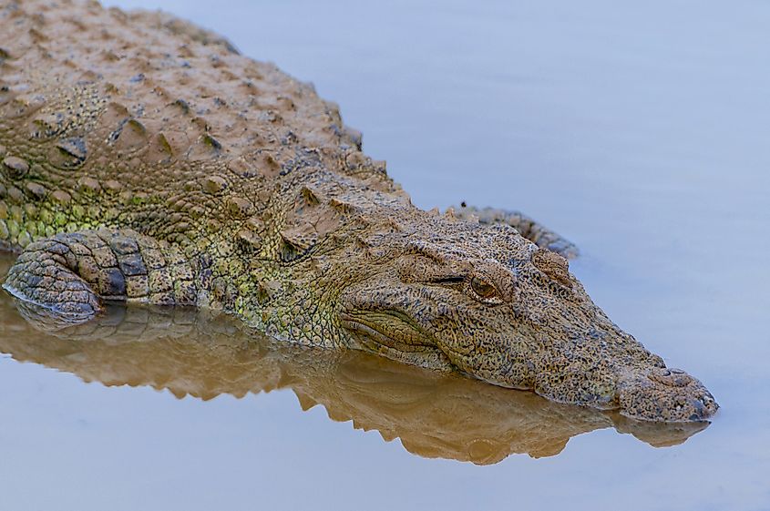 Yala National Park