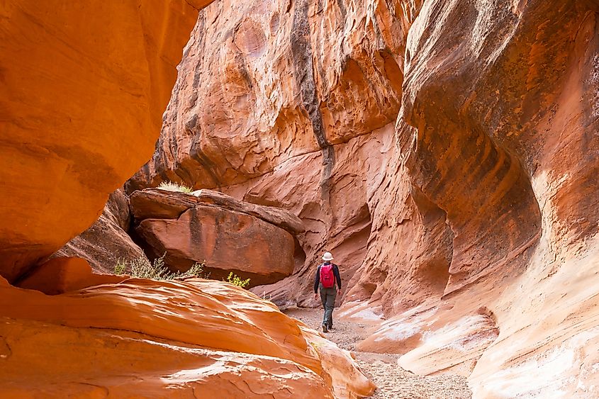 Slot canyon in Grand Staircase Escalante National park, Utah, USA. Unusual colorful sandstone formations in deserts of Utah are popular destination for hikers.