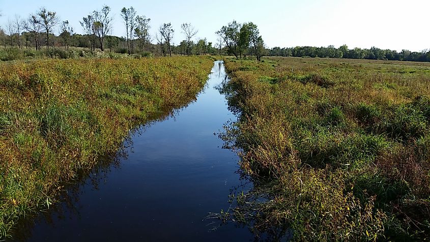 Protected wetlands located in Blaine, Minnesota