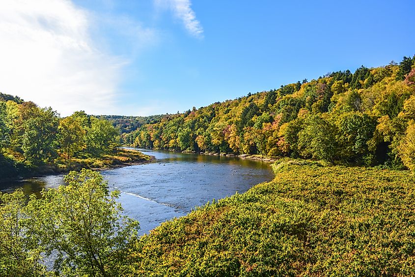 The beautiful Cook Forest State Park in Knox, Pennsylvania