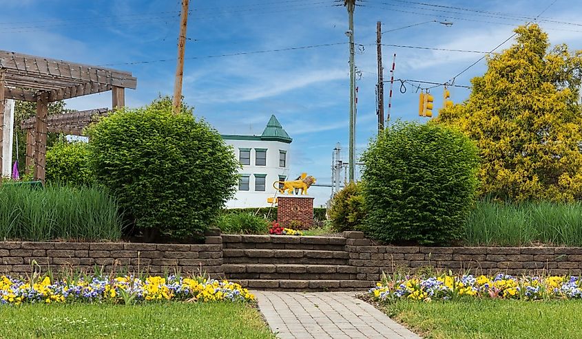 Lions Club, Thomasville, North Carolina.