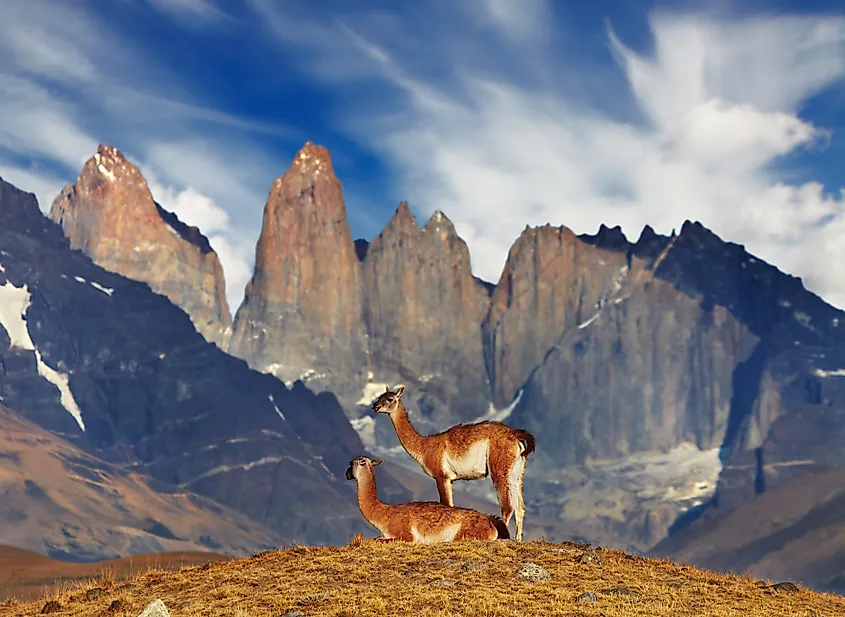 Torres del Paine National Park