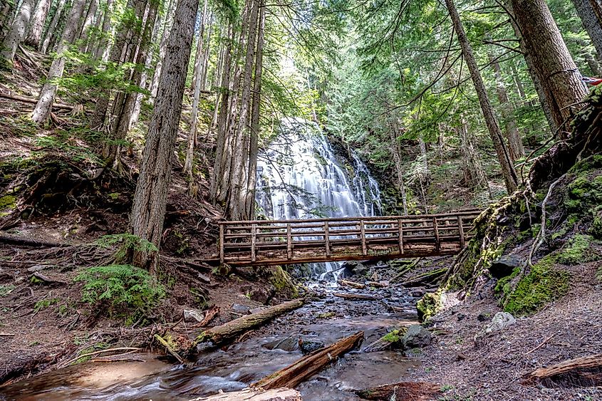 Amazingly beautiful Ramona Falls in Mount Hood Territory