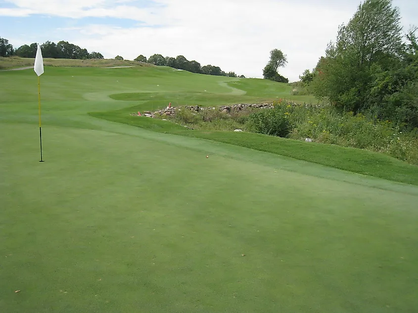 The Bog in Saukville, Wisconsin (Credit: Dan Perry via Flickr)