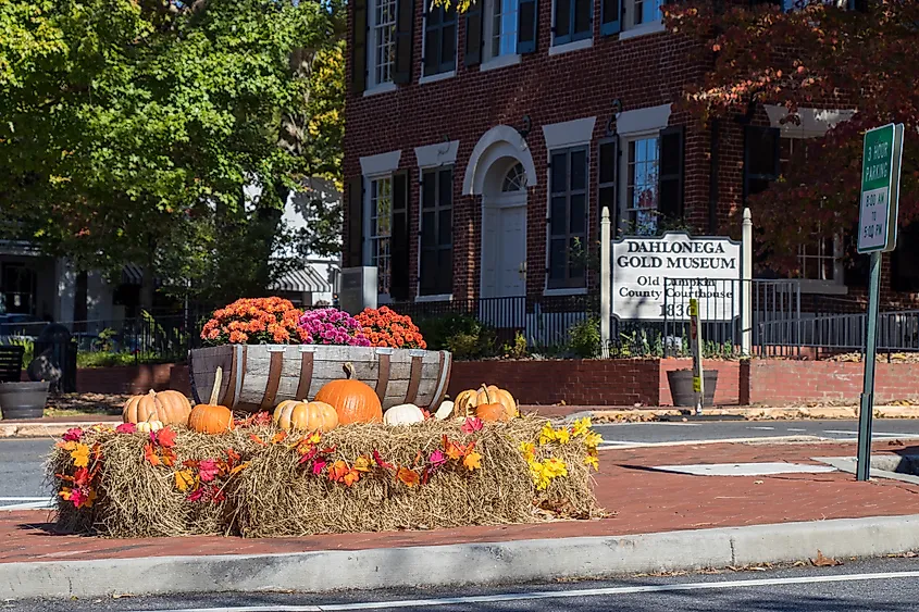 Street corner with hay bales and pumpkins decorated with autumn leaves next to a wooden barrel of flowers. Background shows a red brick building and a sign for the Dahlonega Gold Museum. The scene conveys a festive fall atmosphere.