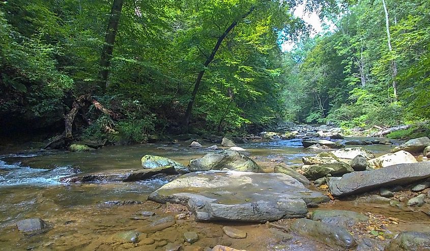 water flowing in Gunpowder falls state park