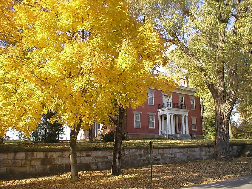 Foliage in Lexington, Missouri