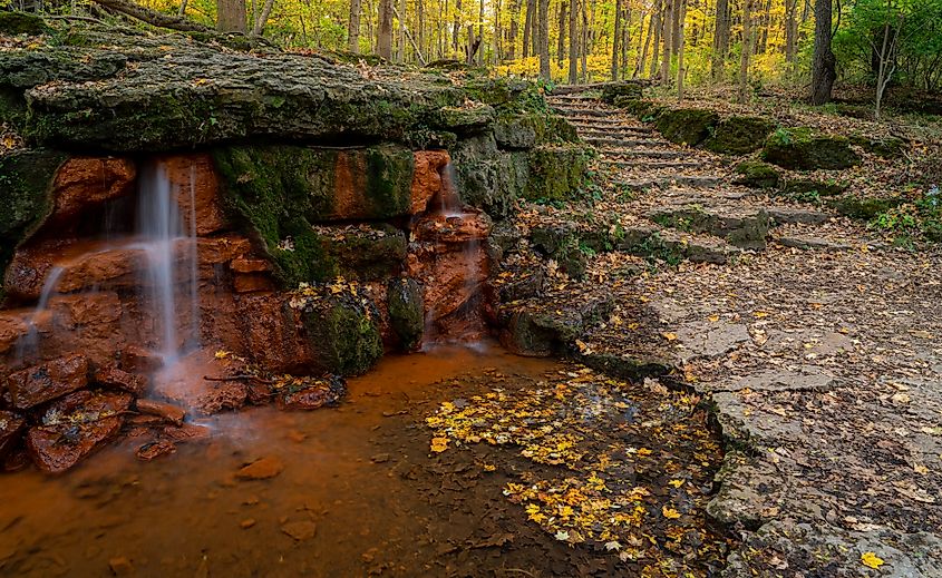 Fall leaves litter the ground near the Yellow Spring in Yellow Springs, Ohio.
