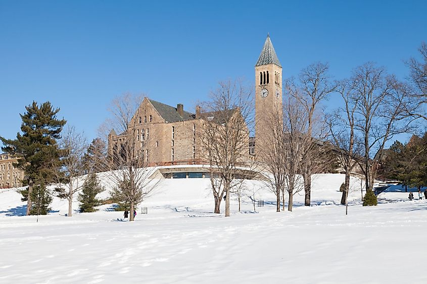 A view of Cornell University's Uris Library and Mcgraw Tower in Ithaca, New York during winter. 