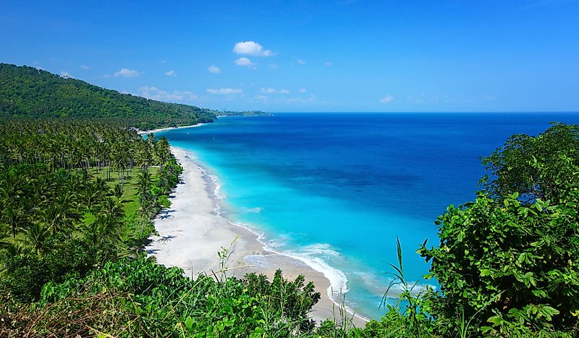 Tropical lagoon with clear water and beach with white sand and palm trees in a valley. Lombok island, Indonesia