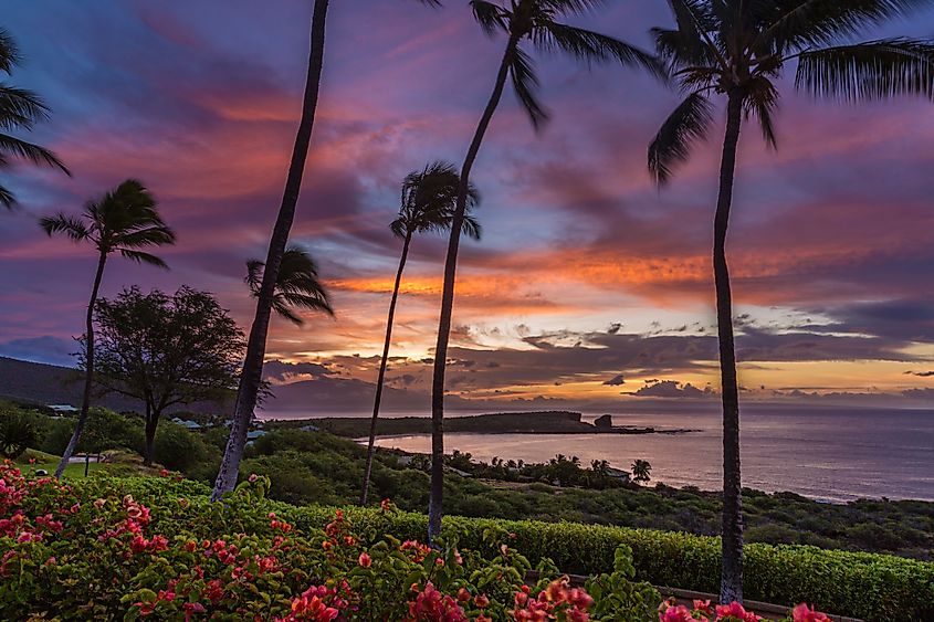 Lanai, Hawaii