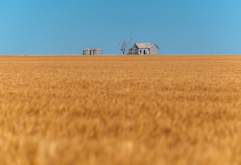 Abandoned farmhouse collapsing in Oklahoma wheat field farm