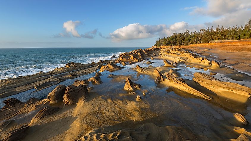 Shore Acres State Park is a state park located to the South of Coos Bay in the state of Oregon.