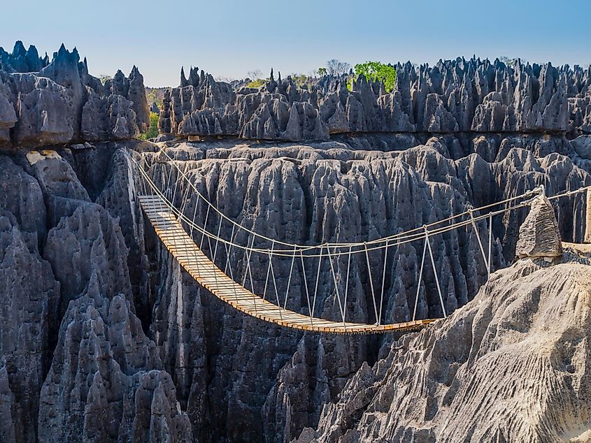 Tsingy forest, Madagascar