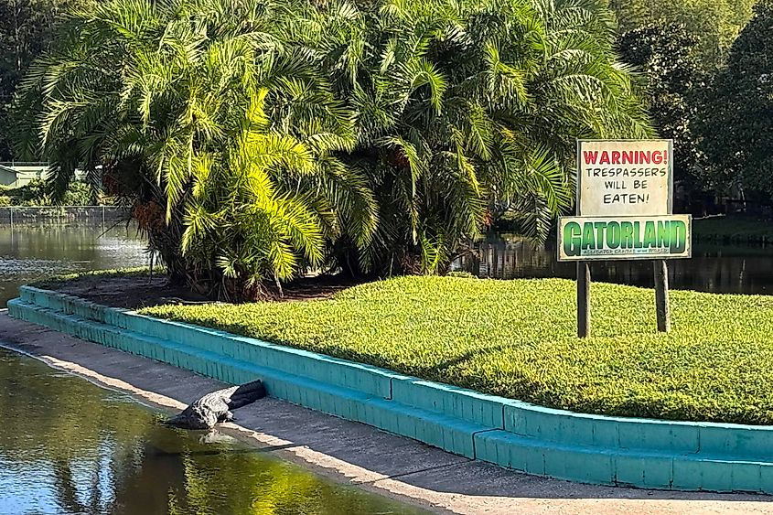Warning sign at Gatorland Image credit Bryan Dearsley