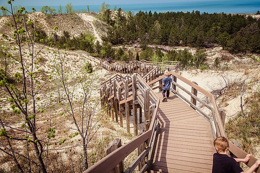 The Boardwalk through the dunes at the Indiana Dunes National Park.