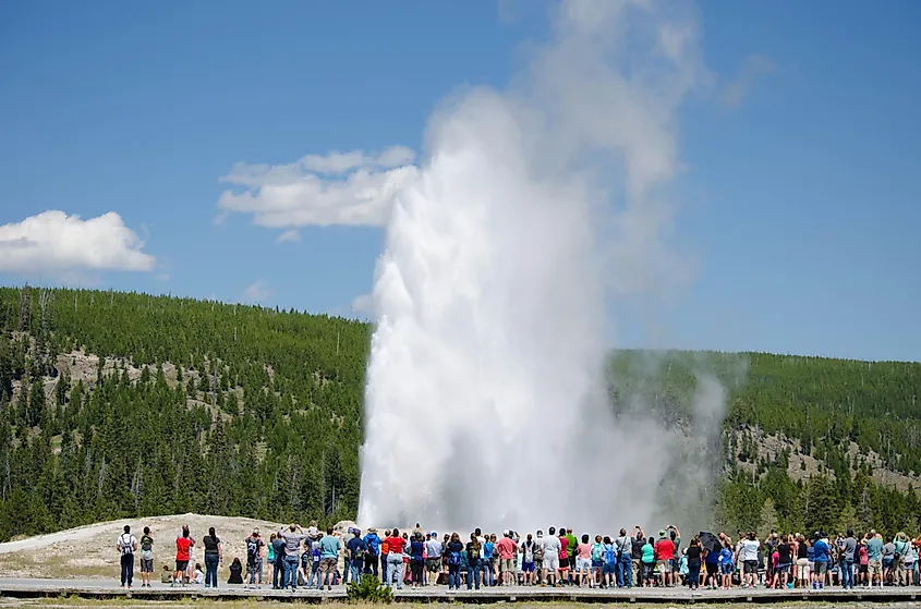 Tourists watching Old Faithful erupting in Yellowstone National Park.