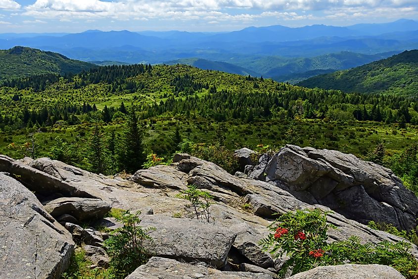 Along the Appalachian trail in North Carolina. Credit: Nina B/Shutterstock.com