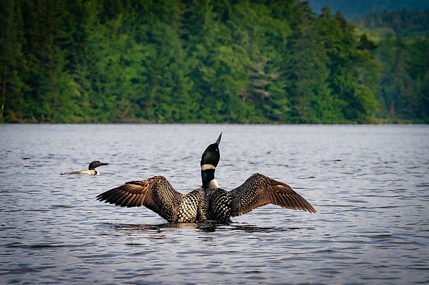 Adirondack Mountains