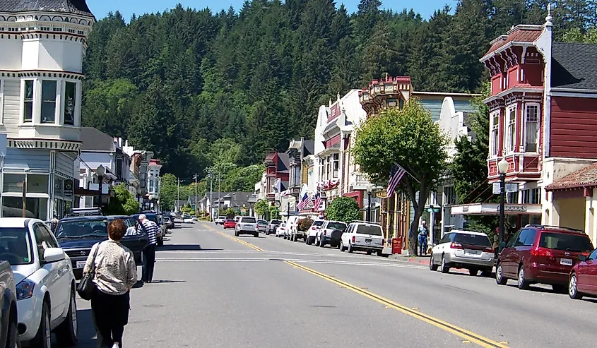 Street in Ferndale, California