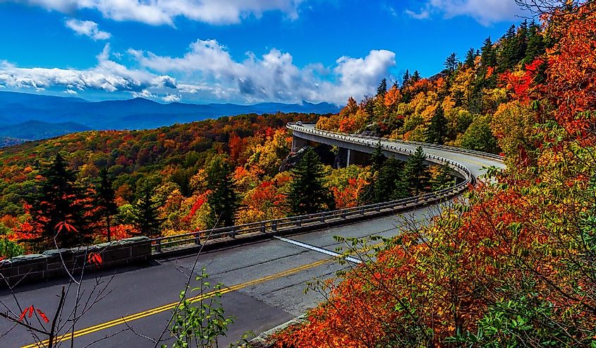 Linn Cove Stunning fall colors along the Viaduct on the Blue Ridge Parkway, North Carolina