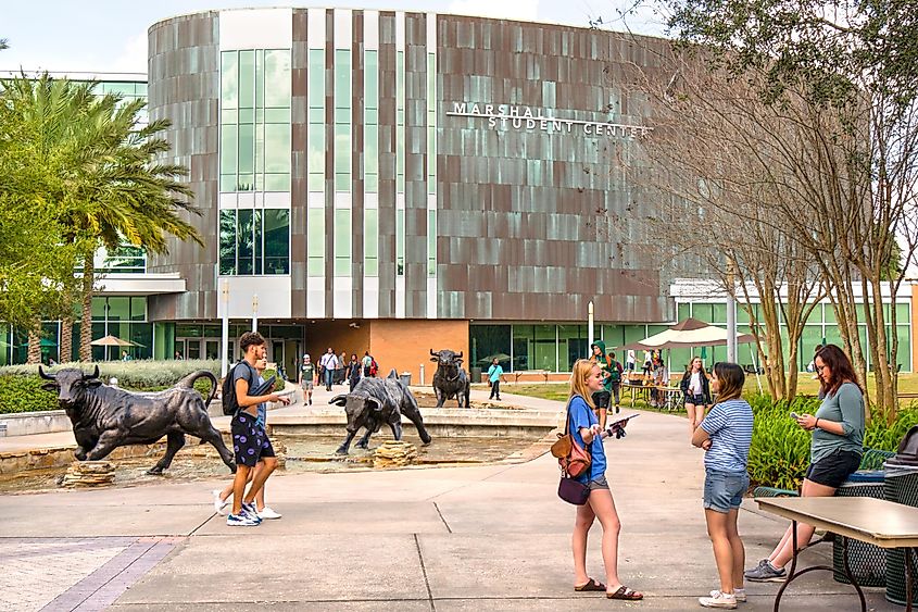 Campus of the University of South Florida, one of the top universities in the south in Tampa, Florida.