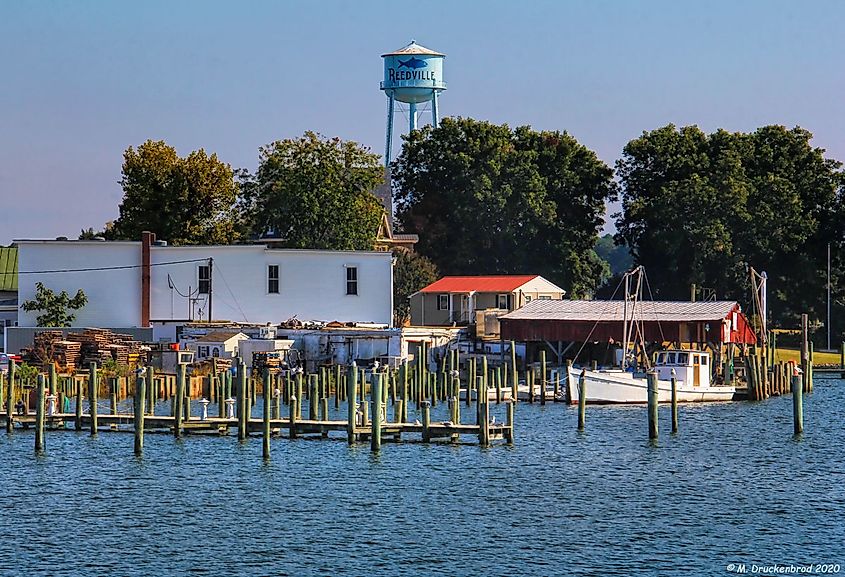 Commercial Fishing Docks along Reeds Point in Reedville Virginia