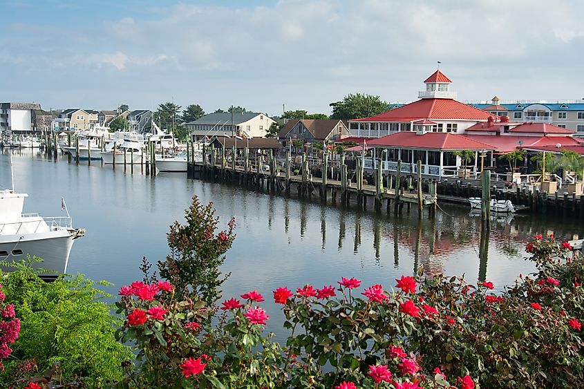 The marina at Lewes, Delaware.