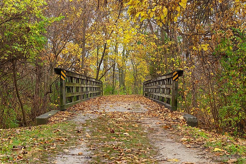 Leaf covered trail on the historic I and M Canal in Ottawa, Illinois