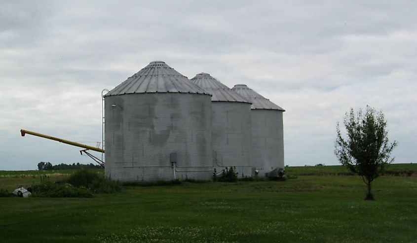 Silos in Williamsburg, Iowa.