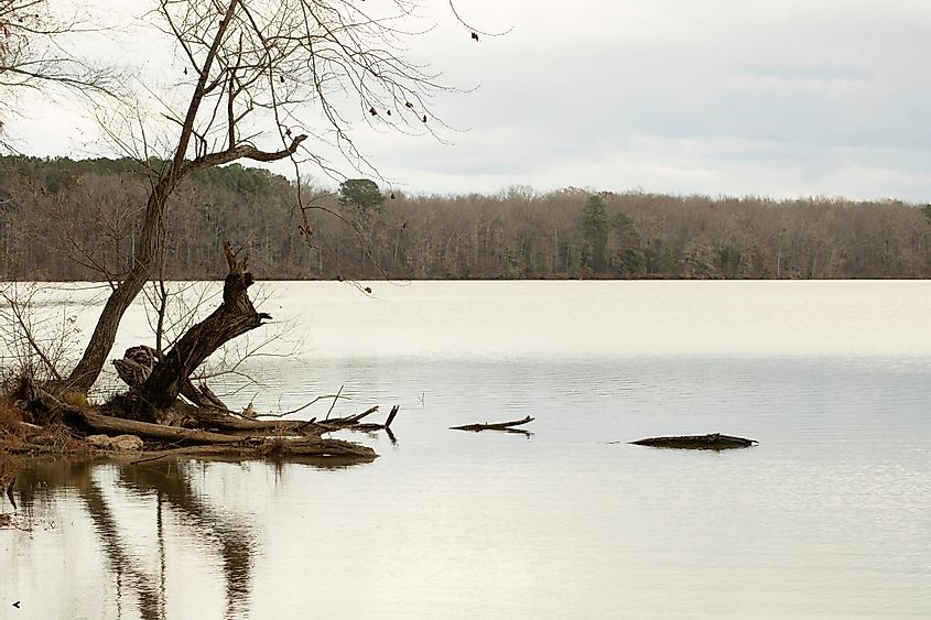 Озеро Уилер в Декейтере, штат Алабама