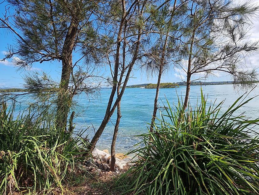 Lake Macquarie near Swansea, New South Wales.