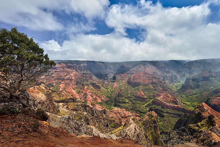 Panoramic view of Waimea Canyon on Kauai, Hawaii, showing steep red and green canyon walls beneath a partly cloudy sky.