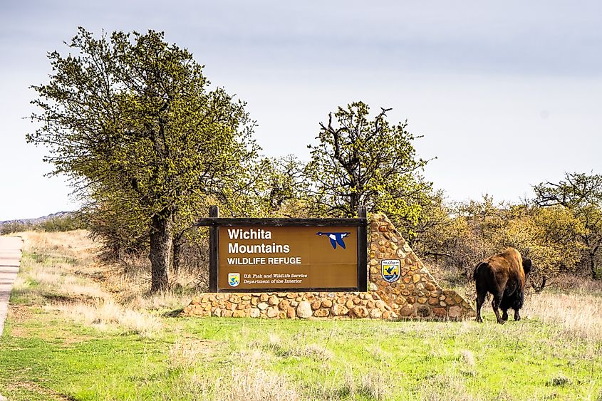 Wichita Mountains Wildlife Refuge in Lawton, Oklahoma.