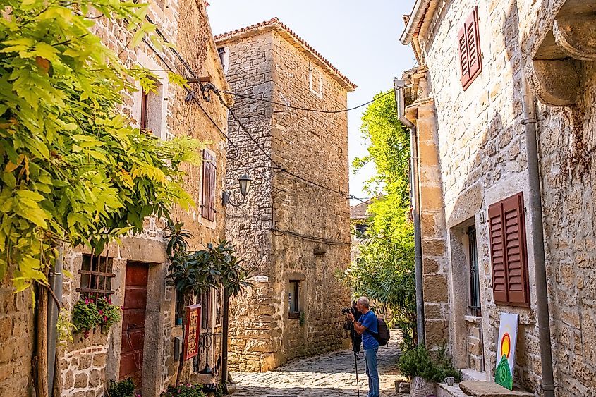 scenic alley with stone buildings, lush plants, and vibrant shutters in Grožnjan.