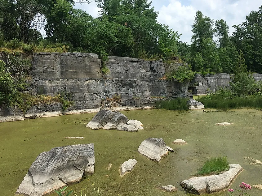 Fisk Quarry Preserve (Isle La Motte, Vermont)