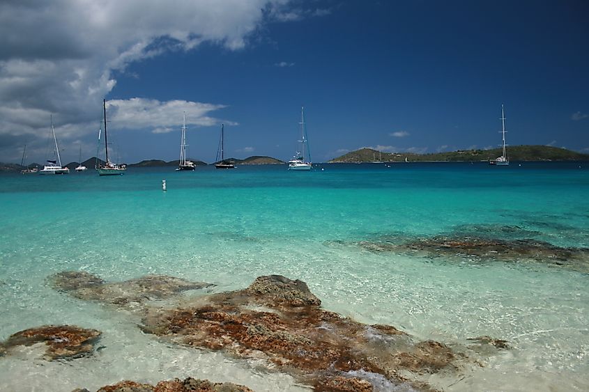 View of Salmon Bay from Honeymoon Beach.